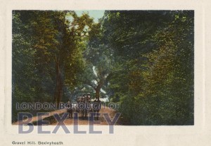 PCD_333 Gravel Hill, Bexleyheath 1909