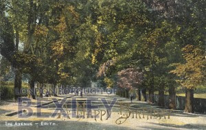 PCD_513 The Avenue, Erith 1903