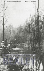PCD_69 Stream in Winter, Bexley Woods. 1911
