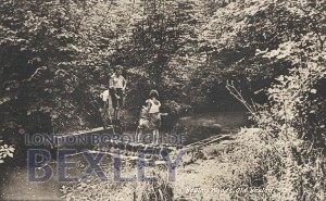 PCD_70 Bexley Woods, Old Bexley c.1920