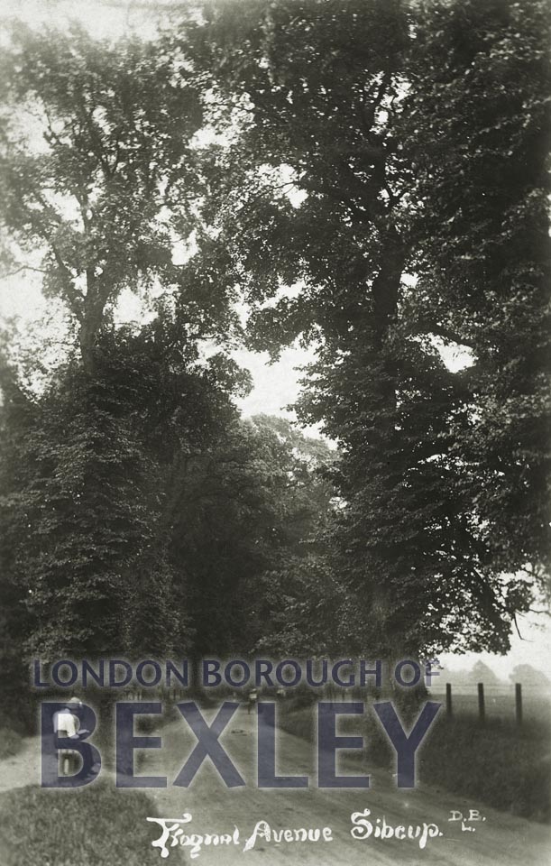 PCD_703 Frognal Avenue, Sidcup 1915 Bexley Borough PhotosBexley