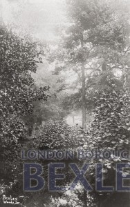 PCD_78 Bexley Woods c.1900