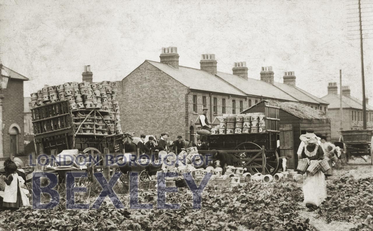 PCD_959 Slade Green c.1905 Bexley Borough PhotosBexley Borough Photos