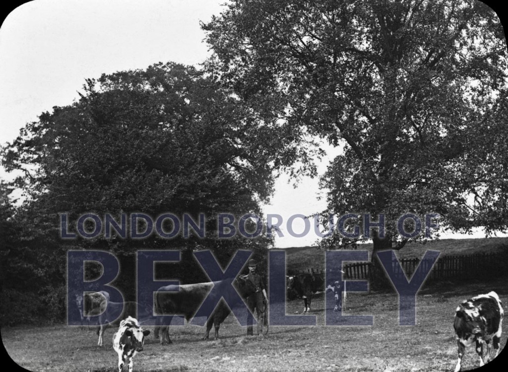 PHBOS_2_548 Kelsey's Farm, Bexley 1892 Bexley Borough PhotosBexley