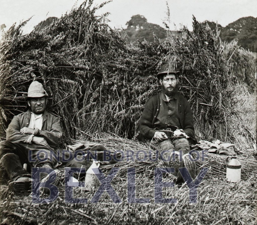 Farm workers in a hay field, Warren Farm, Bexleyheath  c1880