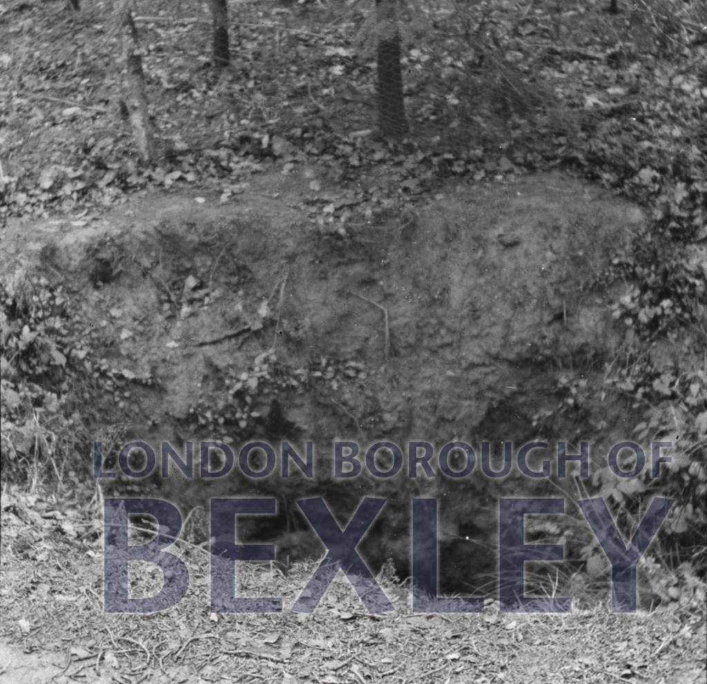 Dene hole, Joydens Wood,Bexley  c1910