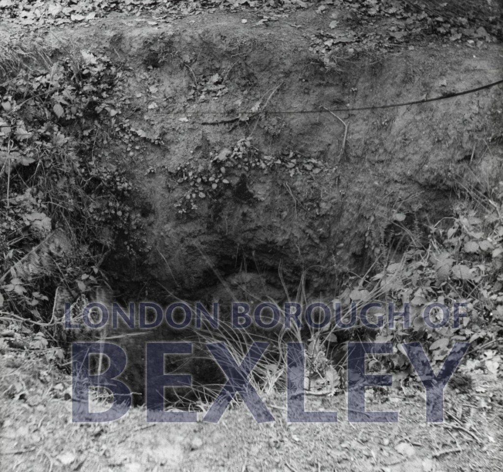 Dene hole, Joydens Wood, Bexley c1910