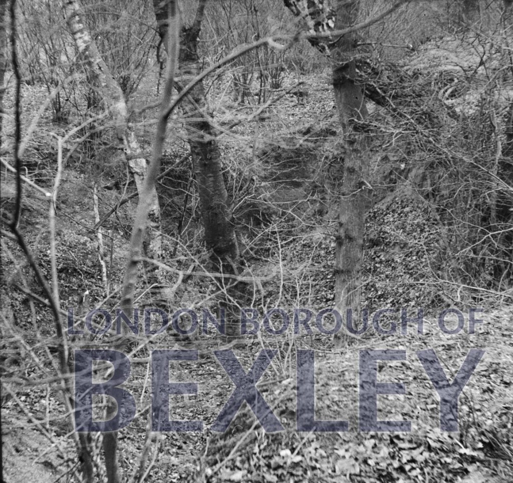 Dene hole, Joydens Wood,Bexley c1910