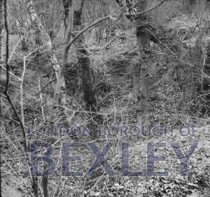 PHBOS_2_604 Dene hole, Joydens Wood,Bexley c1910