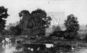 Pond with cattle,  Unknown