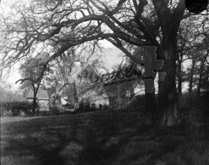 Sun dappled. 25,  Unknown