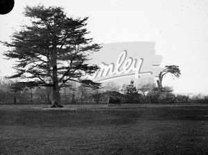 Kelsey Park Lawn, Kelsey Park  c.1920s
