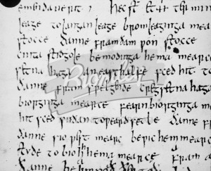 Charter of 862, Bromley