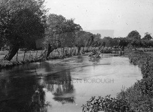 River scene with trees lining the bank,  undated