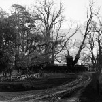 Lullingstone Park – near the gate at Parkgate Farm, Eynsford undated