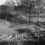 Montreal, Wood and Stream, Dunton Green undated