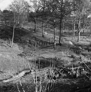Montreal, Wood and Stream, Dunton Green undated