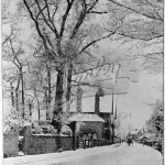 Snowy Lane,  undated