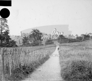Footpath across fields, undated
