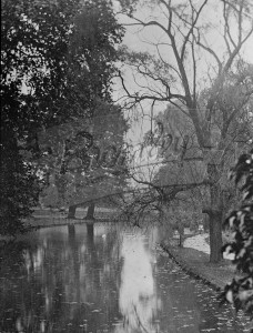 Stream in Village Place, Beckenham undated