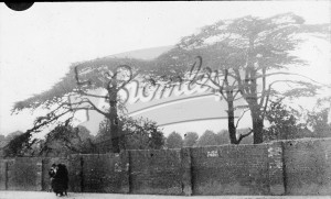 The Cedars, Beckenham 1924