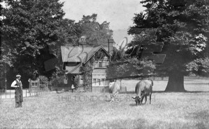 Lodge to Kelsey Cottage, Beckenham 1910
