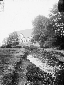 Trees, stream and field,  undated