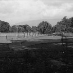 Oak Lodge Estate, Beckenham, Beckenham 1954