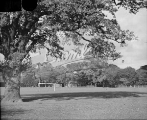 Blake Recreation Ground, West Wickham 1954