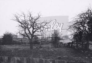 South Eden Park Road, Beckenham, Beckenham 1931