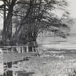 Mill Pond, Bromley, Bromley 1909
