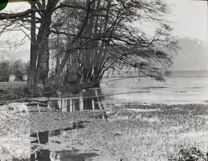 Mill Pond, Bromley, Bromley 1909