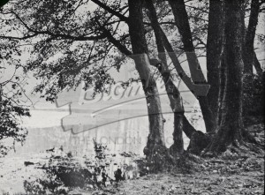 Mill Pond, Bromley, Bromley 1909