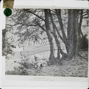 The Millpond, Bromley, Bromley 1909