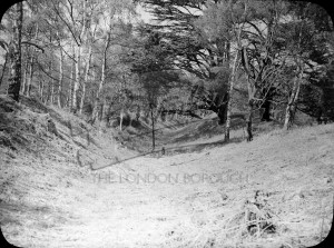 Keston Common, Keston