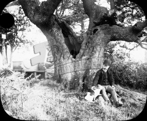 The Wilberforce Oak, Keston, Keston