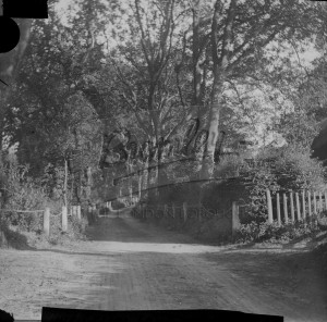 High Elms Lane, Downe, Downe