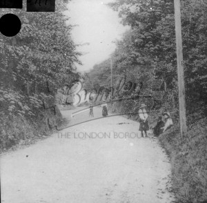 Crofton Hill, Orpington 1900s