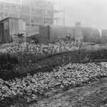 Roman remains at Council Offices, Orpington, Orpington 1960s