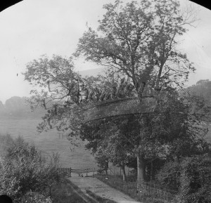 Green Lane, Orpington, Orpington 1901