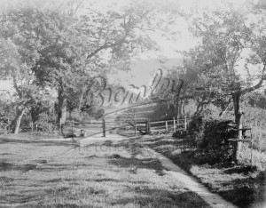 Old Green Lane, Orpington, Orpington 1881