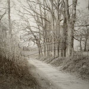 Newell Meadow, Orpington, Orpington