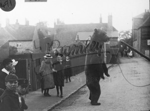 Performing Bear, St Mary Cray, St Mary Cray 1900