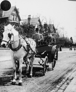 Pony and trap with two gentlemen,