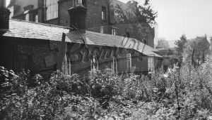 Rear view of building with overgrown garden,
