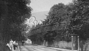 Street scene, women with prams,