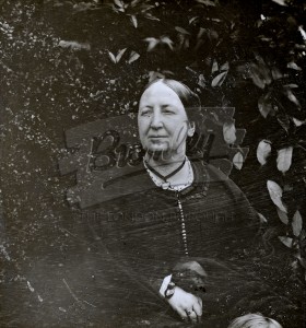 Portrait of lady,