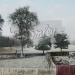 Farmland,