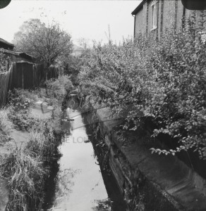 Stream behind house in culvert,