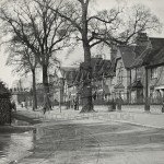Elm Terrace, Orpington, Orpington early 20th C